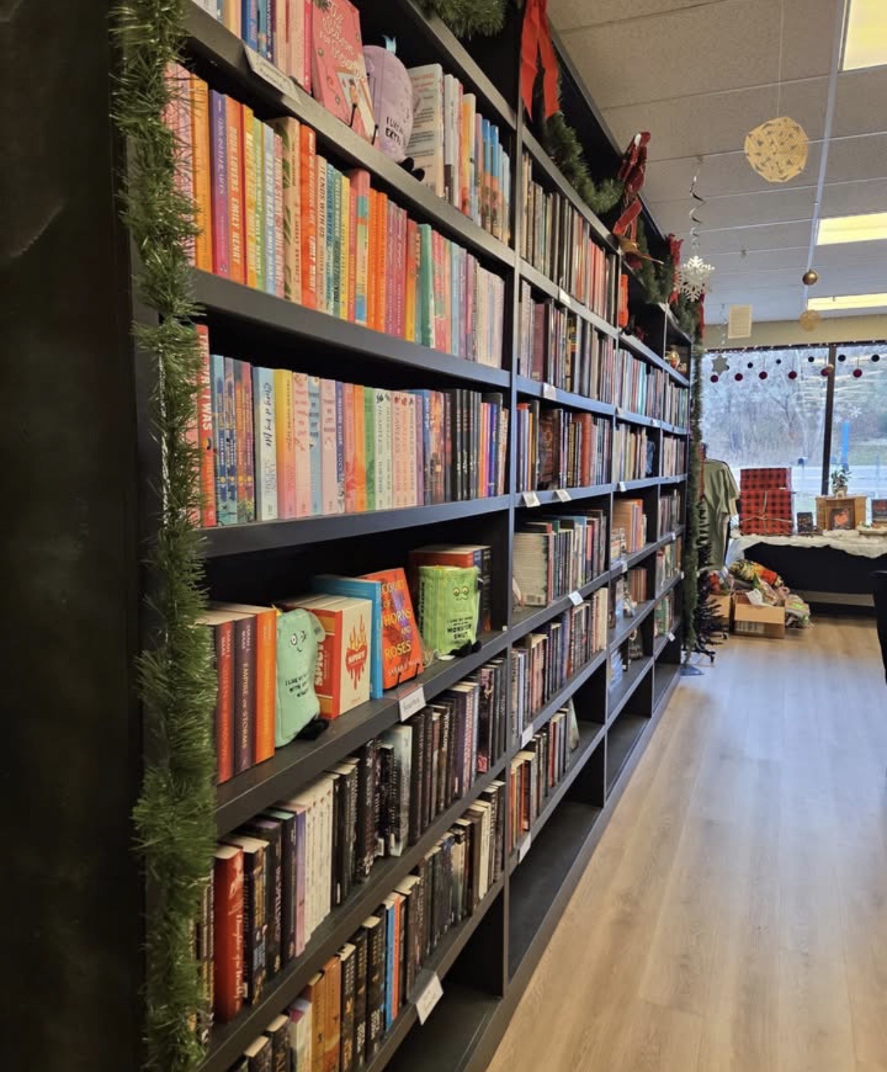 Colorful book collection